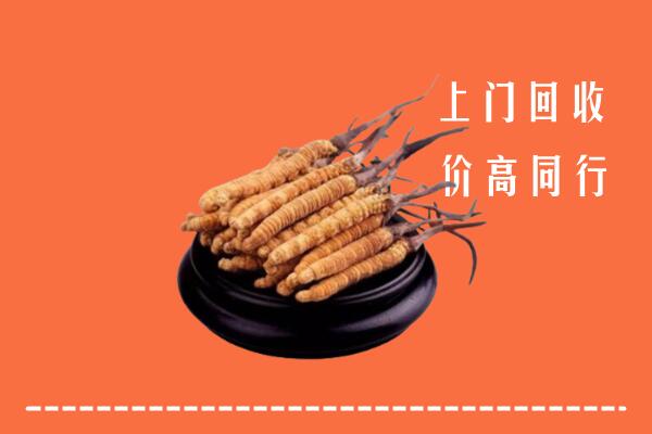 高价求购：门头沟区回收散虫草
