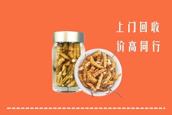 门头沟区回收冬虫夏草